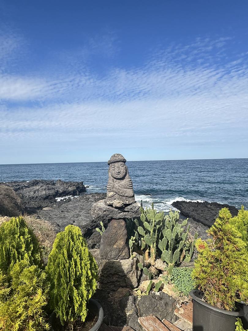 Paisagem urbana da Coreia do Sul para o pacote Vip Black